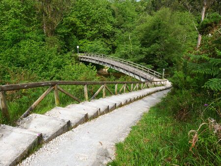 white staircase descends the hill to enter the forestの写真素材