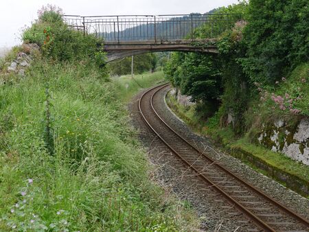 rusty railway under old bridge surrounded by green natureの写真素材