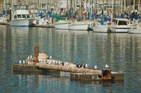 Marina at Santa Cruz, Californiaの写真素材