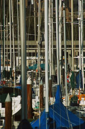Marina at Santa Cruz, Californiaの写真素材