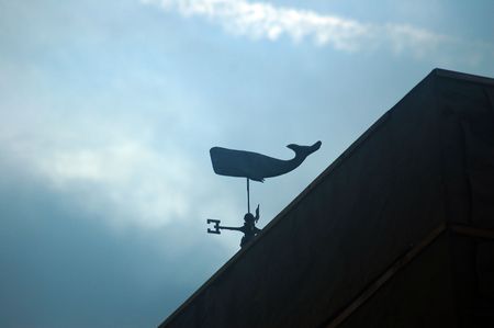 weathervane in the shape of a whaleの写真素材