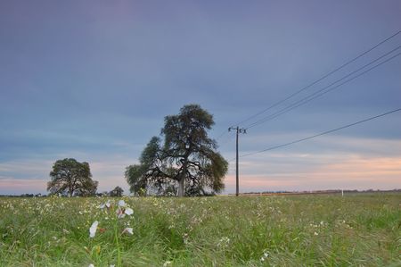 springtime meadow in the evening, with traffic zipping by on a nearby roadの写真素材