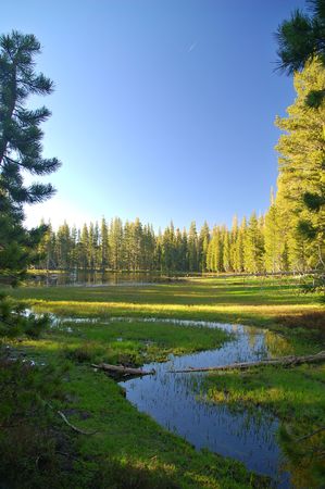 Northern Sierra Nevada mountain lake, in springの写真素材