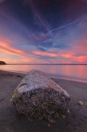 driftwood at sunsetの写真素材