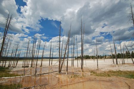 geyser in Yellowstone National Parkの写真素材