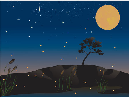 fireflies and a full moon on a summer eveningのイラスト素材