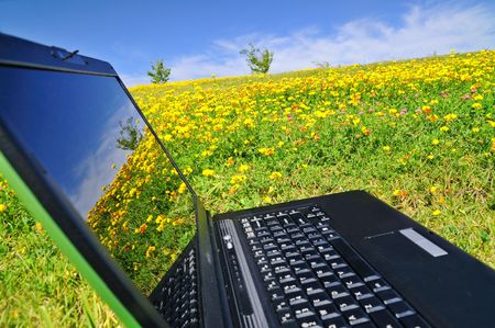 laptop computer in a flowery meadowの写真素材