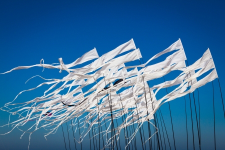  Kites flags in the skyの写真素材