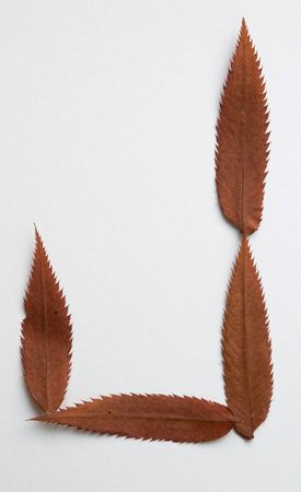J letter: alphabet and numbers with autumn brown red dry leaf on white backgroundの写真素材
