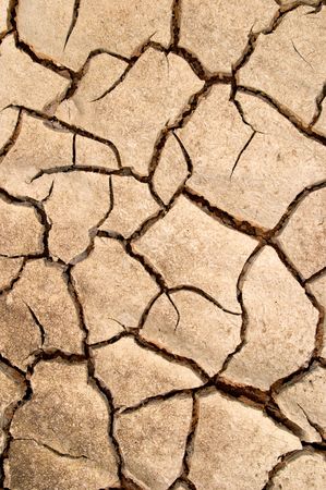 Dry mud cracks texture, Valtrebbia, Italy
