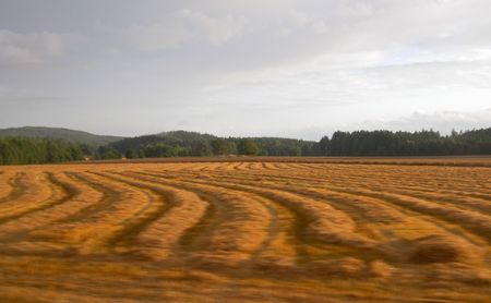 Swedish agrarian landscape in the early autumn, countryside near Gothenburg, Sweden