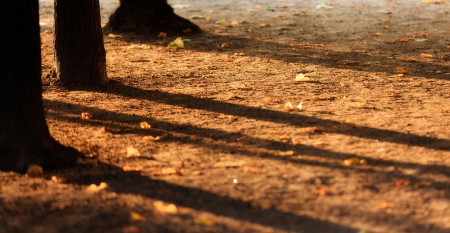 Autumn aproachingの写真素材