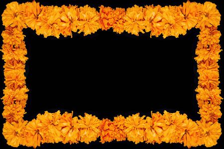 Cempasuchil flower frame, Mexican flower of the day of the dead in Mexicoの写真素材