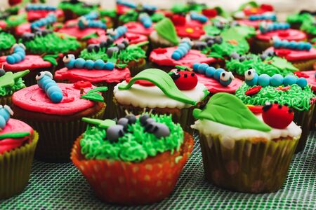 Cupcakes with caterpillar or insects decoration for kids birthday partyの写真素材