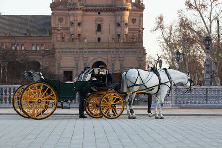 Horse and Carriage Ride in a European cityの写真素材