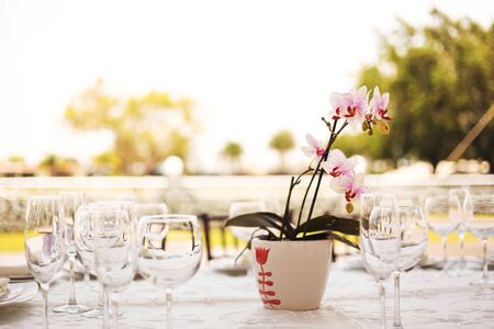 table setup, wedding guest table, reception layout rustic backgroundの写真素材