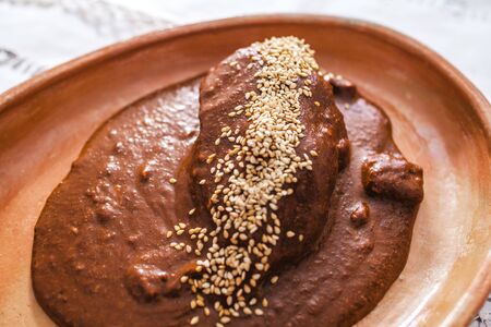 Mole and chicken Traditional mexican food in mexico cityの写真素材