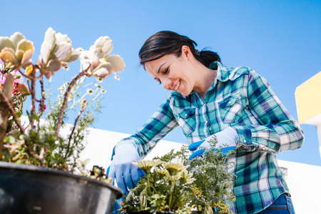 Latin gardener woman taking care of plants and flowers, Home gardening in Mexico city