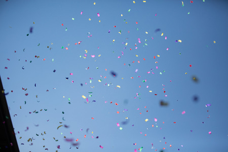 Many Colored Petals on a Sky Backgroundの写真素材