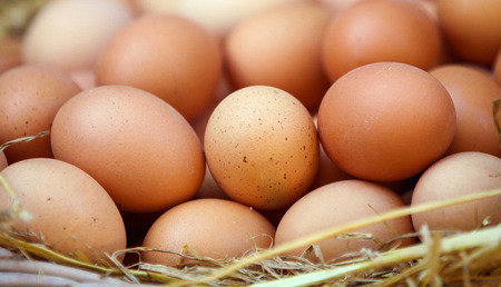 Baskets of Chicken Eggs for Sale