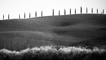 Landscape in Val d'Orcia in Tuscany, Italyの写真素材