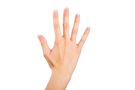 Human hand (woman), isolated on white backgroundの写真素材