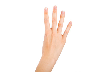 Human hand (woman), isolated on white backgroundの写真素材