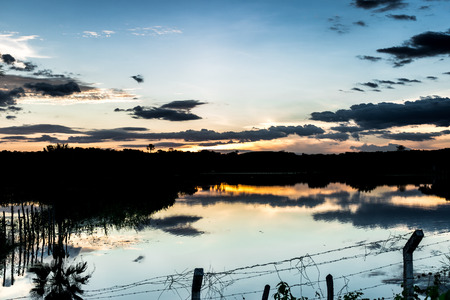 Pond at sunsetの写真素材