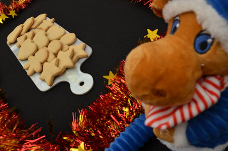 beautiful handmade cookies for Christmas celebrationの写真素材