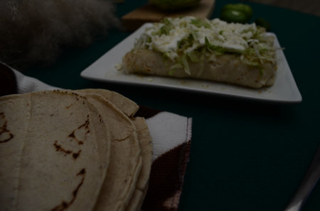 Nice traditional Mexican dish with its ingredientsの写真素材