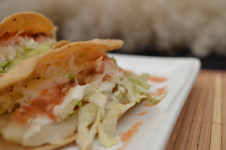 Colorful Homemade Traditional Mexican Quesadillaの写真素材