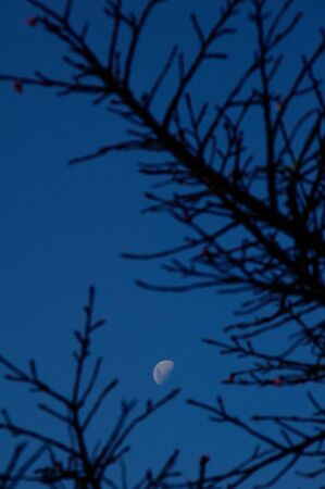 sunset dusk sun nature colors west west landscape horizonの写真素材