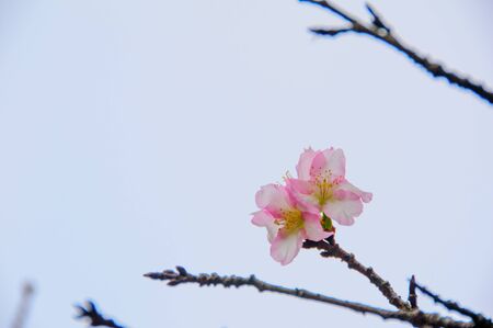 sunset dusk sun nature colors west west landscape horizonの写真素材