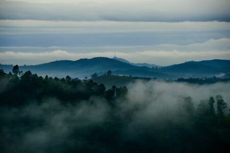 cloud sun nature colors landscape horizon sky blue green woods forest trees flowersの写真素材
