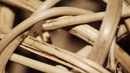 entangledの写真素材