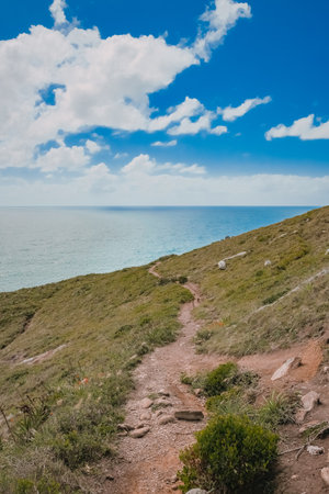 Hiking trail leading to the sea on a sunny summer day.の写真素材
