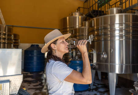 adult woman tasting wine inside a wineryの写真素材