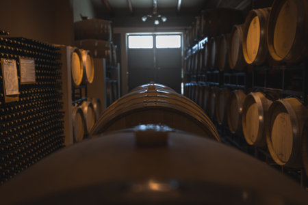 interior of a winery in Argentina