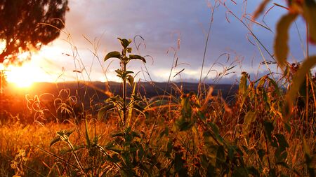 Sunset on field in Barbosa, Santander, Colombia