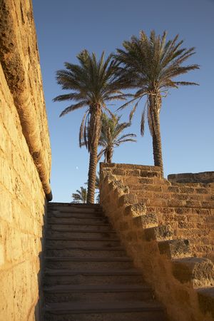 a stony stair under warm sunlight with two palmsの写真素材