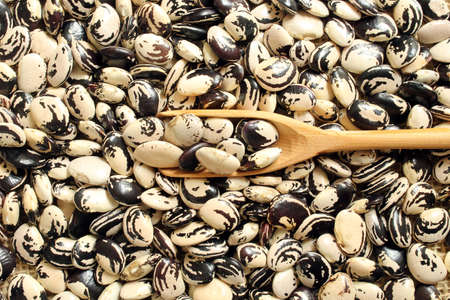 fresh bean beans and wooden spoon