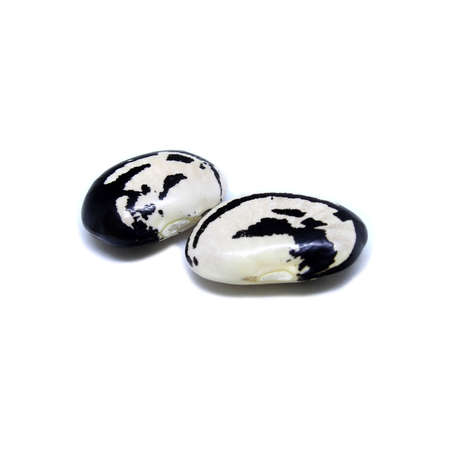 Broad bean seeds on a white background