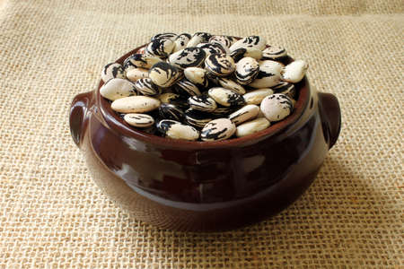 Pot with bean seeds
