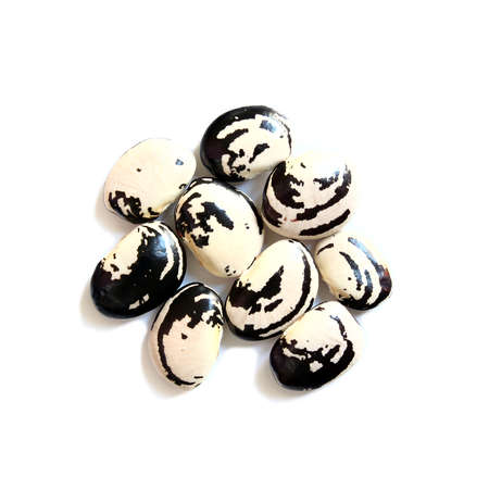 Broad bean seeds on a white background