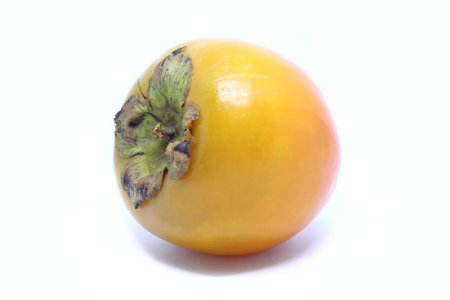 Persimmon fruit on white backgroundの写真素材