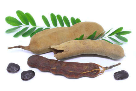 Tamarind exotic fruit isolated on white background.の写真素材