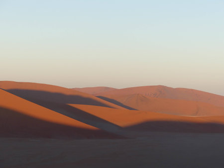 Sossusvlei in the Namib desert at sunriseの写真素材