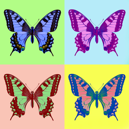 pop art swallowtail (Papilio machaon)の写真素材