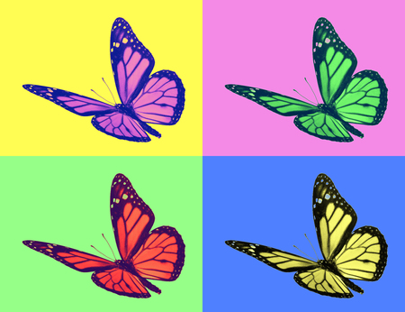 monarch butterfly in pop-art styleの写真素材