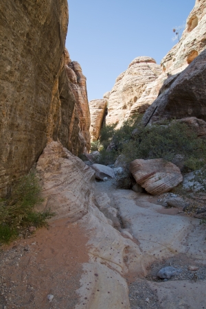 Rock Formations in Red Rock Canyon, Nevadaの写真素材